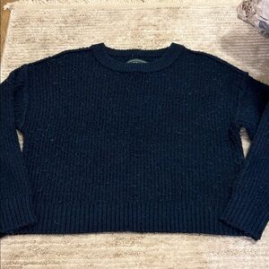 American Eagle Outfitters Navy Knit Sweater